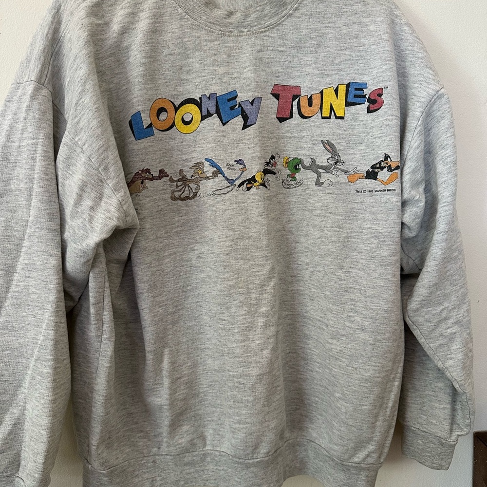 Vintage 1993 Looney Tunes Retro Sweatshirt Adult Large Gray